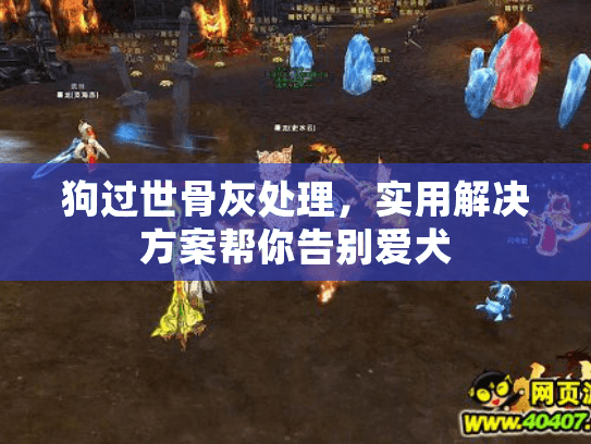 狗过世骨灰处理，实用解决方案帮你告别爱犬
