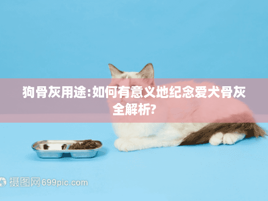 狗骨灰用途:如何有意义地纪念爱犬骨灰全解析?