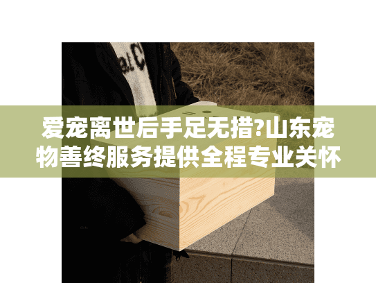 爱宠离世后手足无措?山东宠物善终服务提供全程专业关怀