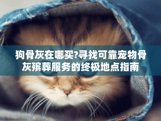 狗骨灰在哪买?寻找可靠宠物骨灰殡葬服务的终极地点指南