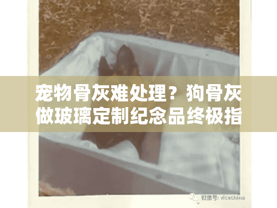宠物骨灰难处理？狗骨灰做玻璃定制纪念品终极指南