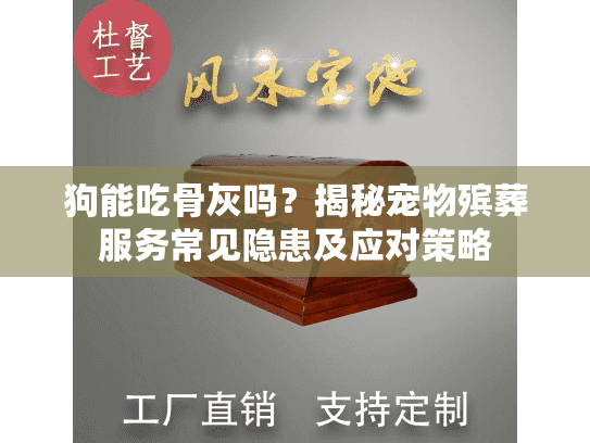 狗能吃骨灰吗？揭秘宠物殡葬服务常见隐患及应对策略