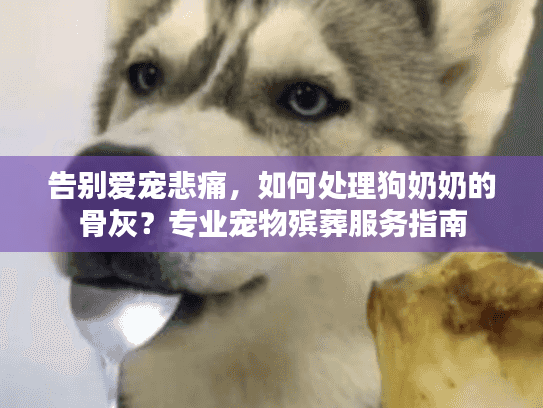 告别爱宠悲痛，如何处理狗奶奶的骨灰？专业宠物殡葬服务指南