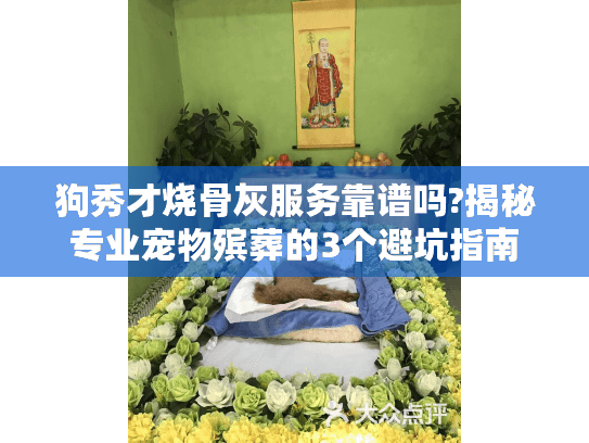 狗秀才烧骨灰服务靠谱吗?揭秘专业宠物殡葬的3个避坑指南