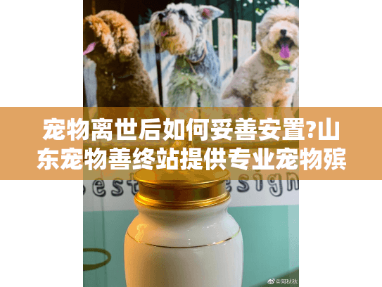 宠物离世后如何妥善安置?山东宠物善终站提供专业宠物殡葬服务