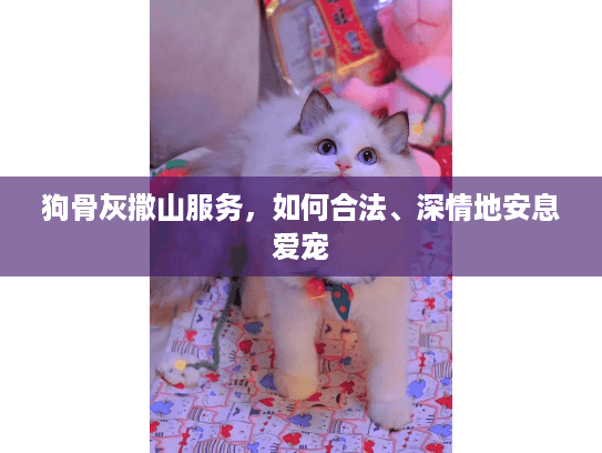 狗骨灰撒山服务，如何合法、深情地安息爱宠