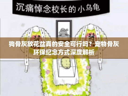 狗骨灰放花盆真的安全可行吗？宠物骨灰环保纪念方式深度解析