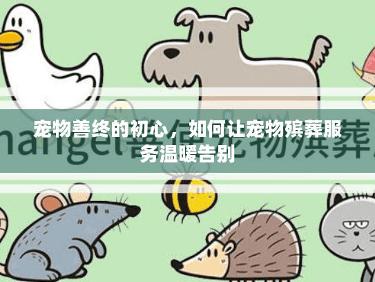 宠物善终的初心，如何让宠物殡葬服务温暖告别