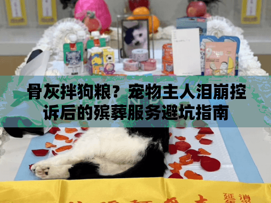 骨灰拌狗粮？宠物主人泪崩控诉后的殡葬服务避坑指南
