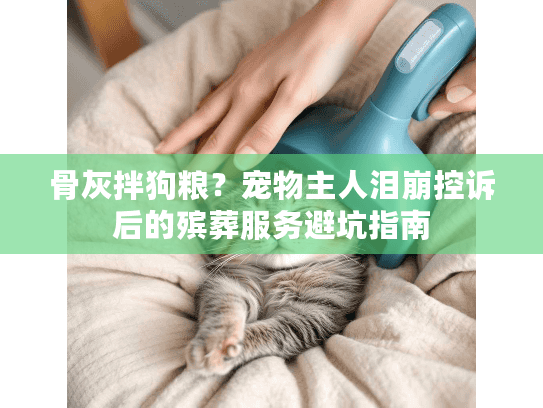 骨灰拌狗粮？宠物主人泪崩控诉后的殡葬服务避坑指南