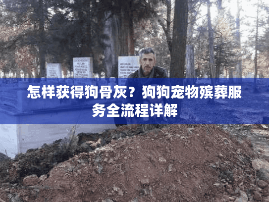 怎样获得狗骨灰？狗狗宠物殡葬服务全流程详解