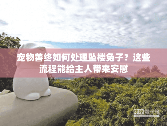 宠物善终如何处理坠楼兔子？这些流程能给主人带来安慰