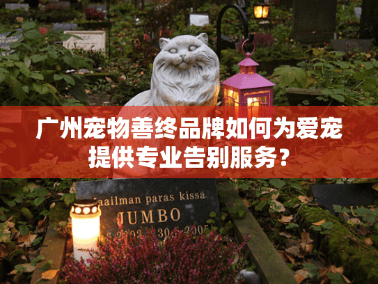 广州宠物善终品牌如何为爱宠提供专业告别服务？