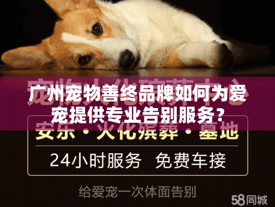 广州宠物善终品牌如何为爱宠提供专业告别服务？