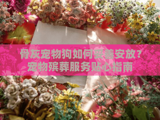 骨灰宠物狗如何妥善安放？宠物殡葬服务贴心指南