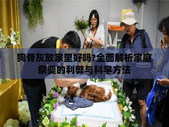 狗骨灰放家里好吗?全面解析家庭祭奠的利弊与科学方法