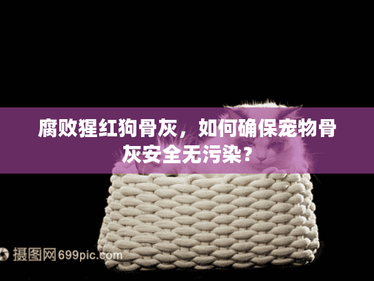 腐败猩红狗骨灰，如何确保宠物骨灰安全无污染？