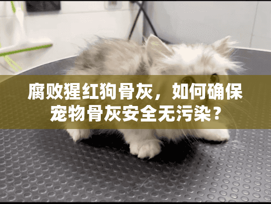 腐败猩红狗骨灰，如何确保宠物骨灰安全无污染？