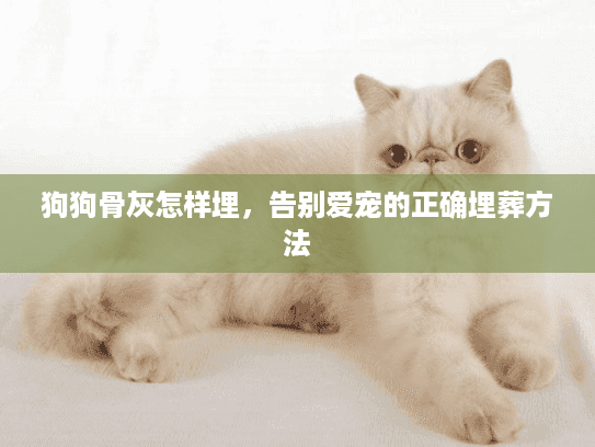 狗狗骨灰怎样埋，告别爱宠的正确埋葬方法