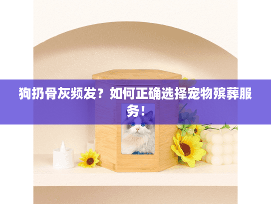 狗扔骨灰频发？如何正确选择宠物殡葬服务！