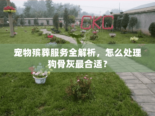 宠物殡葬服务全解析，怎么处理狗骨灰最合适？