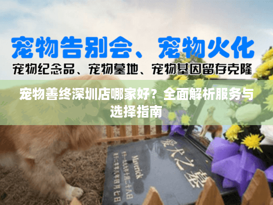 宠物善终深圳店哪家好？全面解析服务与选择指南