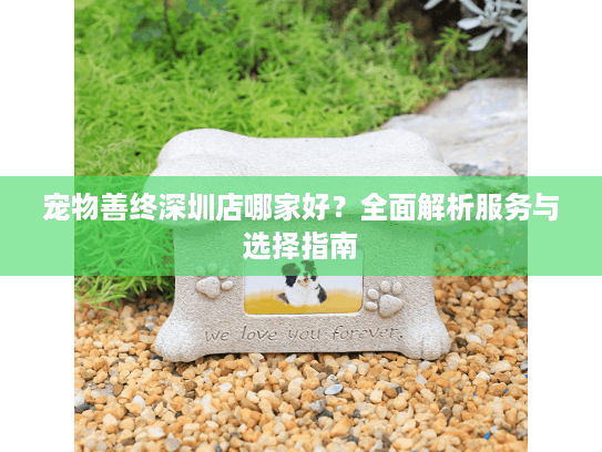 宠物善终深圳店哪家好？全面解析服务与选择指南