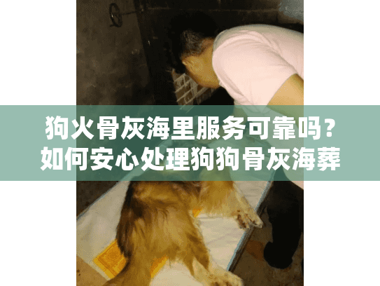 狗火骨灰海里服务可靠吗？如何安心处理狗狗骨灰海葬？