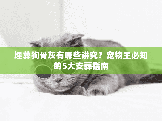 埋葬狗骨灰有哪些讲究？宠物主必知的5大安葬指南
