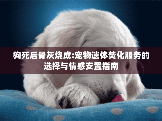 狗死后骨灰烧成:宠物遗体焚化服务的选择与情感安置指南