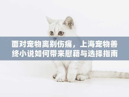 面对宠物离别伤痛，上海宠物善终小说如何带来慰藉与选择指南?