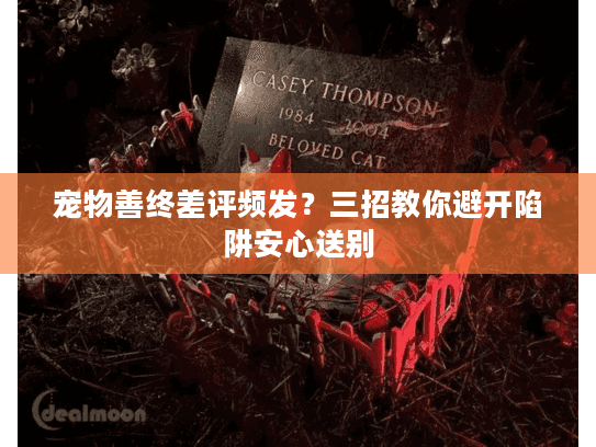 宠物善终差评频发？三招教你避开陷阱安心送别
