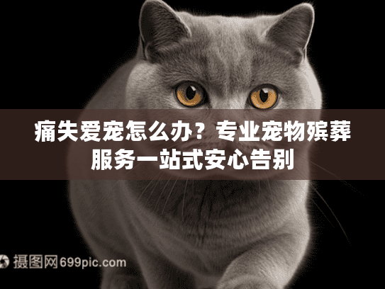 痛失爱宠怎么办？专业宠物殡葬服务一站式安心告别
