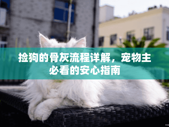 捡狗的骨灰流程详解，宠物主必看的安心指南