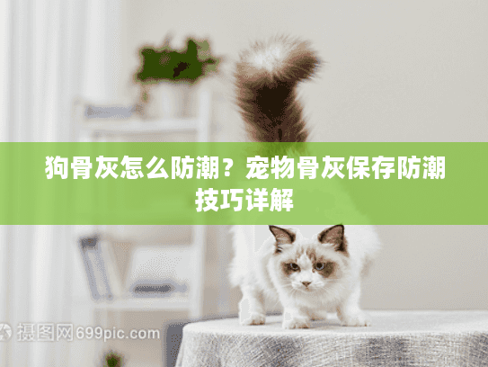 狗骨灰怎么防潮？宠物骨灰保存防潮技巧详解