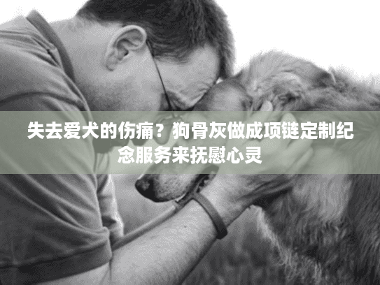 失去爱犬的伤痛？狗骨灰做成项链定制纪念服务来抚慰心灵
