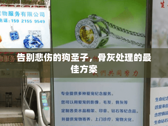 告别悲伤的狗圣子，骨灰处理的最佳方案