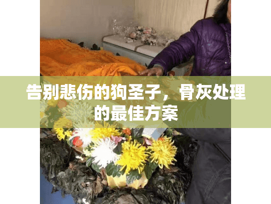告别悲伤的狗圣子，骨灰处理的最佳方案