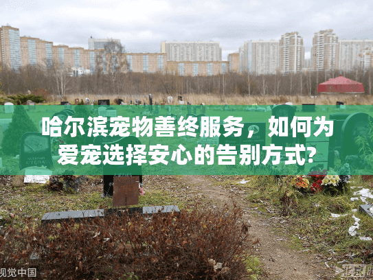 哈尔滨宠物善终服务，如何为爱宠选择安心的告别方式?