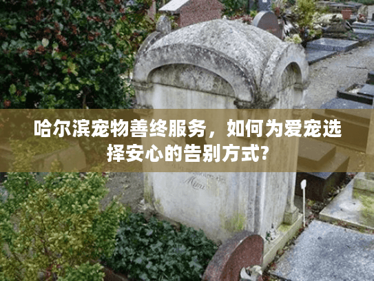 哈尔滨宠物善终服务，如何为爱宠选择安心的告别方式?