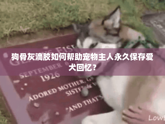 狗骨灰滴胶如何帮助宠物主人永久保存爱犬回忆？