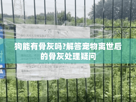狗能有骨灰吗?解答宠物离世后的骨灰处理疑问