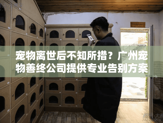 宠物离世后不知所措？广州宠物善终公司提供专业告别方案