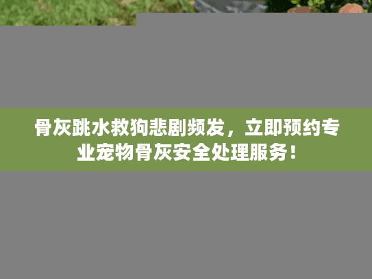 骨灰跳水救狗悲剧频发，立即预约专业宠物骨灰安全处理服务！