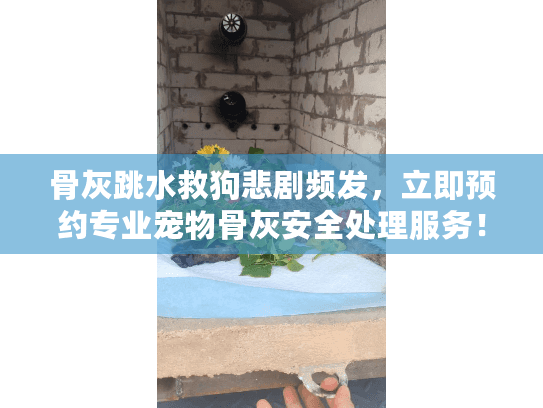 骨灰跳水救狗悲剧频发，立即预约专业宠物骨灰安全处理服务！