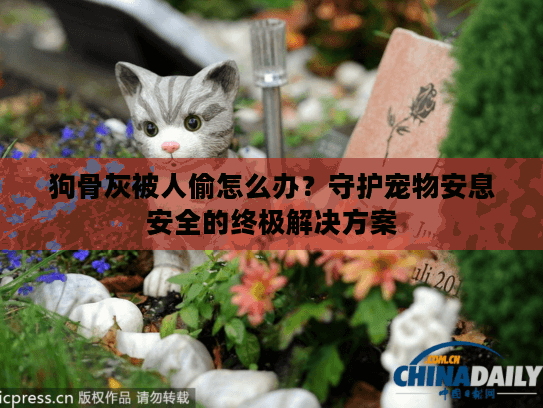 狗骨灰被人偷怎么办？守护宠物安息安全的终极解决方案
