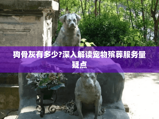 狗骨灰有多少?深入解读宠物殡葬服务量疑点