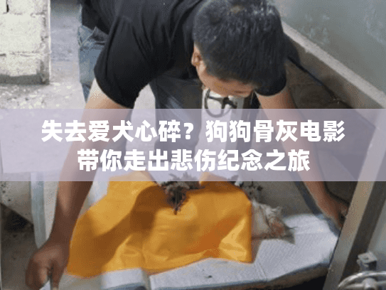 失去爱犬心碎？狗狗骨灰电影带你走出悲伤纪念之旅
