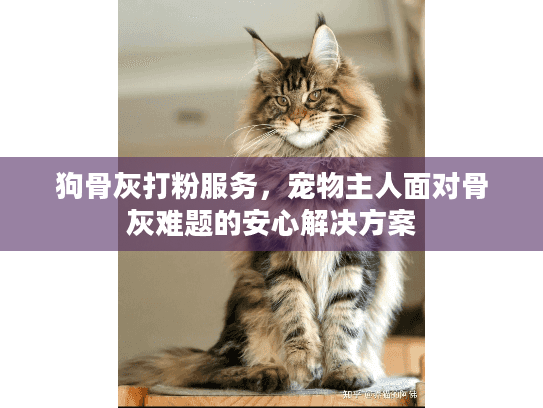狗骨灰打粉服务，宠物主人面对骨灰难题的安心解决方案