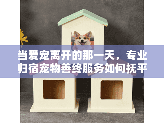 当爱宠离开的那一天，专业归宿宠物善终服务如何抚平伤痛？